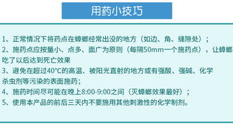 食品工廠如何徹底消滅蟑螂？專家分享實用方法與運營策略